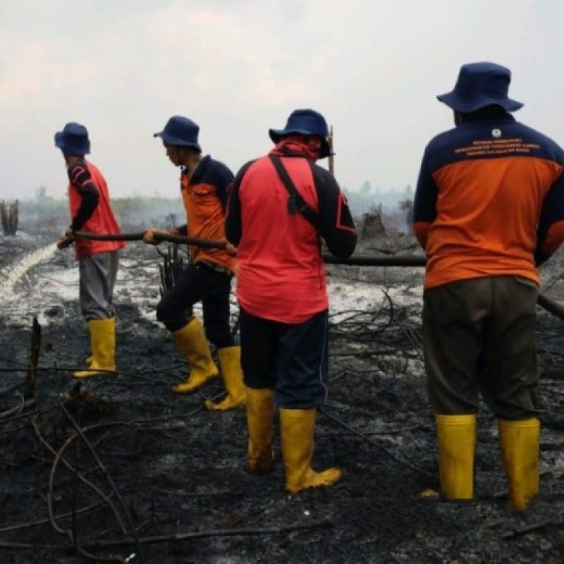 Pemadaman Kebakaran Area Gambut di Sambas Manfaatkan Sekat Kanal dan Sumur Bor BRGM