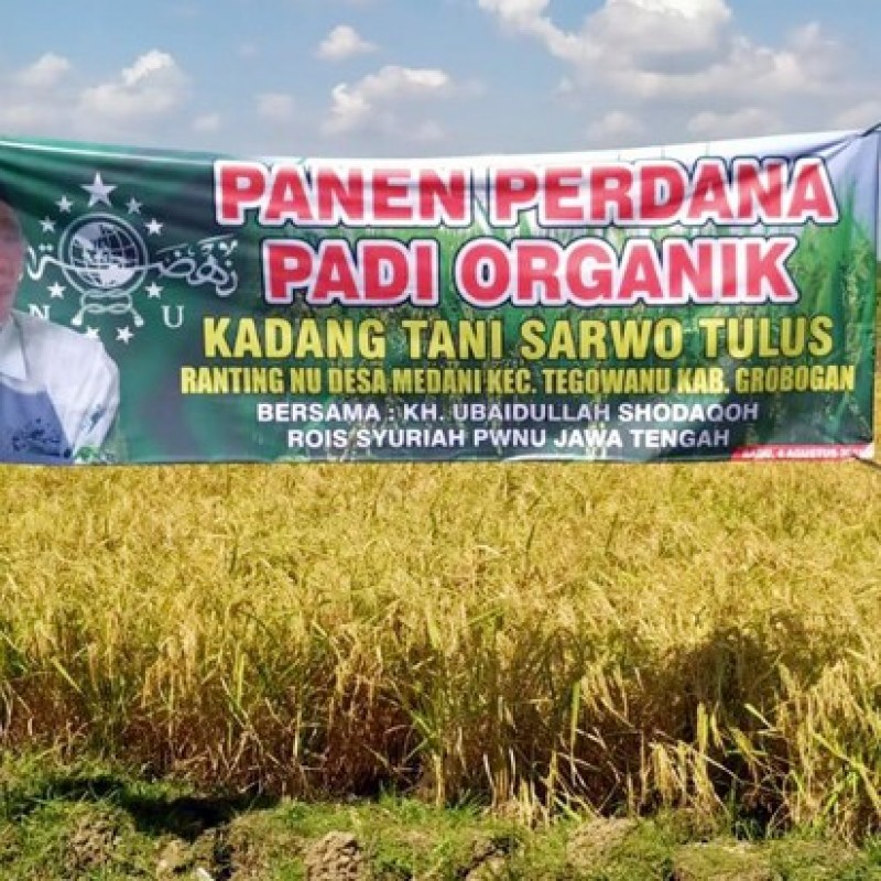 Panen Padi Organik di Grobogan, NU Jateng: Semoga Petani NU Semakin Sejahtera