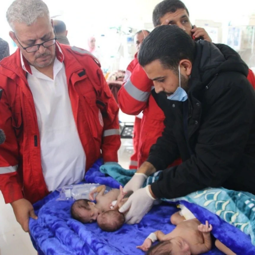 28 Bayi Prematur Dievakuasi dari Palestina ke Mesir