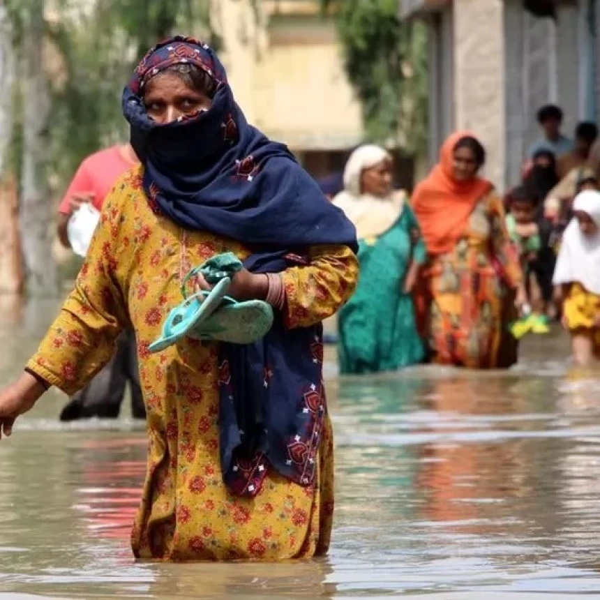 Banjir Pakistan: Kasus Demam Berdarah Melonjak, 3.830 Orang Terinfeksi