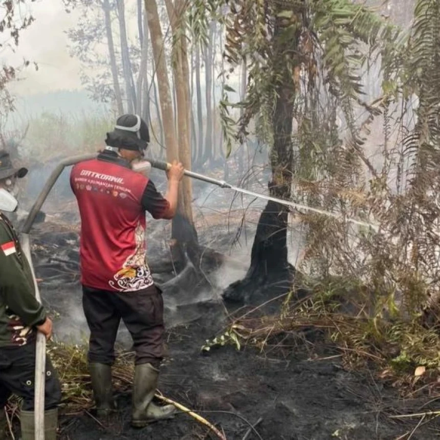 Data BNPB: 623 Hektare Lahan Terbakar di 11 Provinsi, Papua Selatan Terancam Asap Lintas Batas