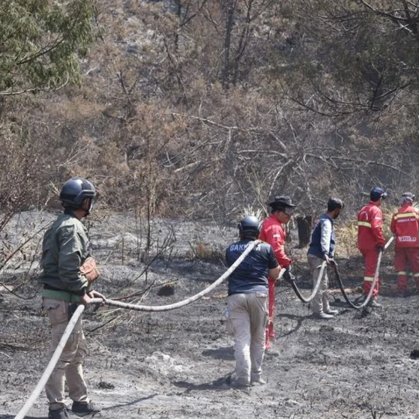Usai 13 Hari Terbakar, Menhut Umumkan Gunung Bromo Dibuka Kembali 20 Agustus