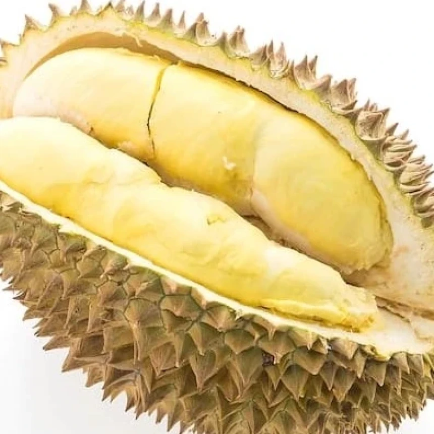 Tips Aman Ibu Hamil Konsumsi Buah Durian