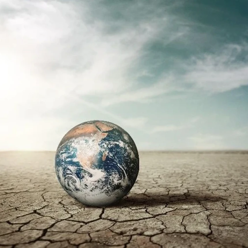 Krisis Iklim Global, Ini Sederet Seruan Organisasi Masyarakat Sipil untuk COP28