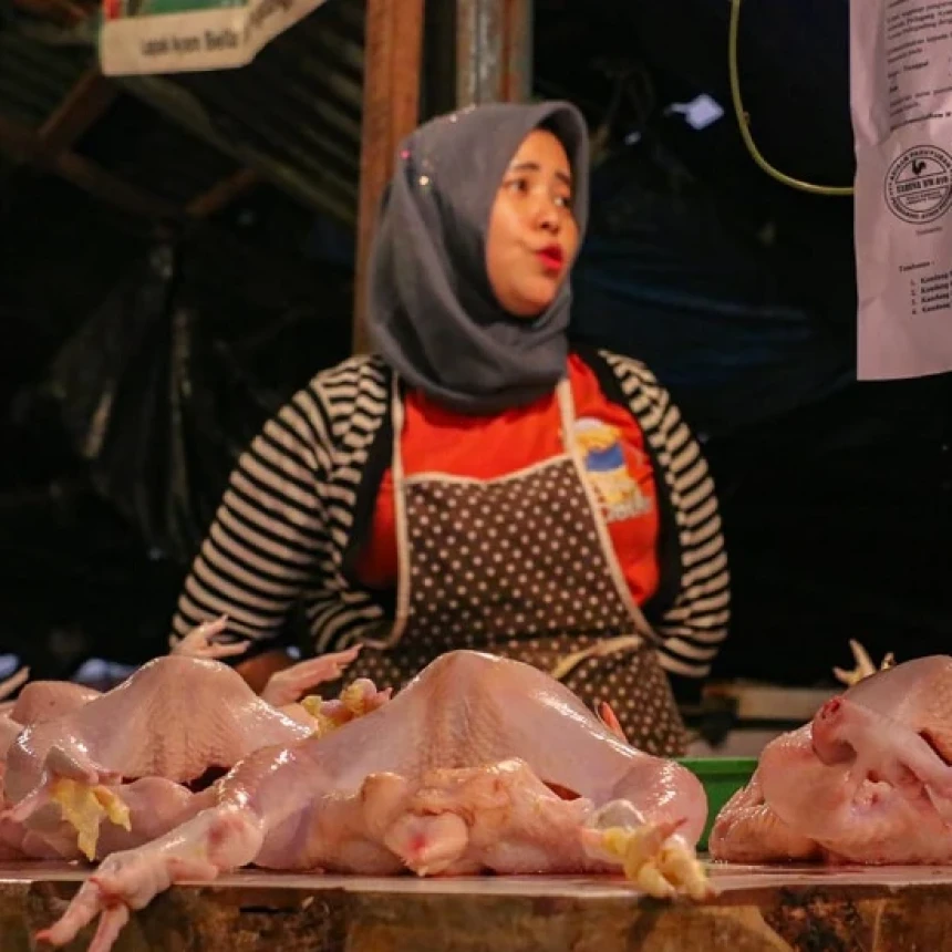 Harga Daging Ayam Tembus Rp50 Ribu, Pedagang Ancam Mogok Jualan