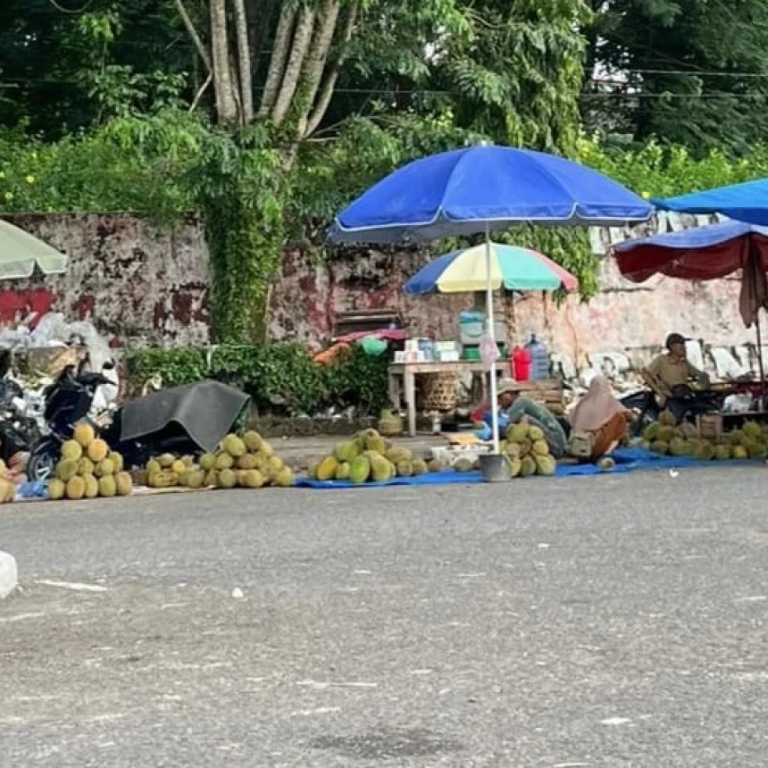 Berburu Durian di Bungo-Jambi, Harga Murah dan Matang di Pohon