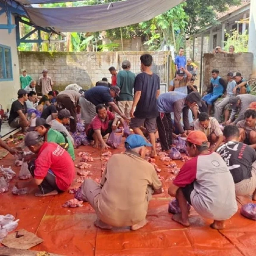 Semangat Kebersamaan Warnai Penyembelihan Hewan Kurban di Batang
