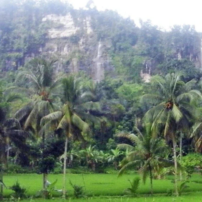 Pemerintah Didorong Ubah Alih Fungsi Hutan Produksi di Sukabumi Selatan Jadi Hutan Lindung