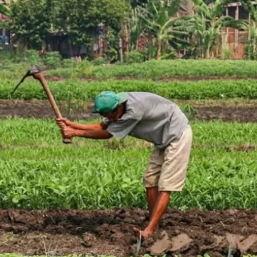 Konflik Agraria dalam Pandangan Fiqih: Bolehkah Pemerintah Mengambil Tanah Rakyat?