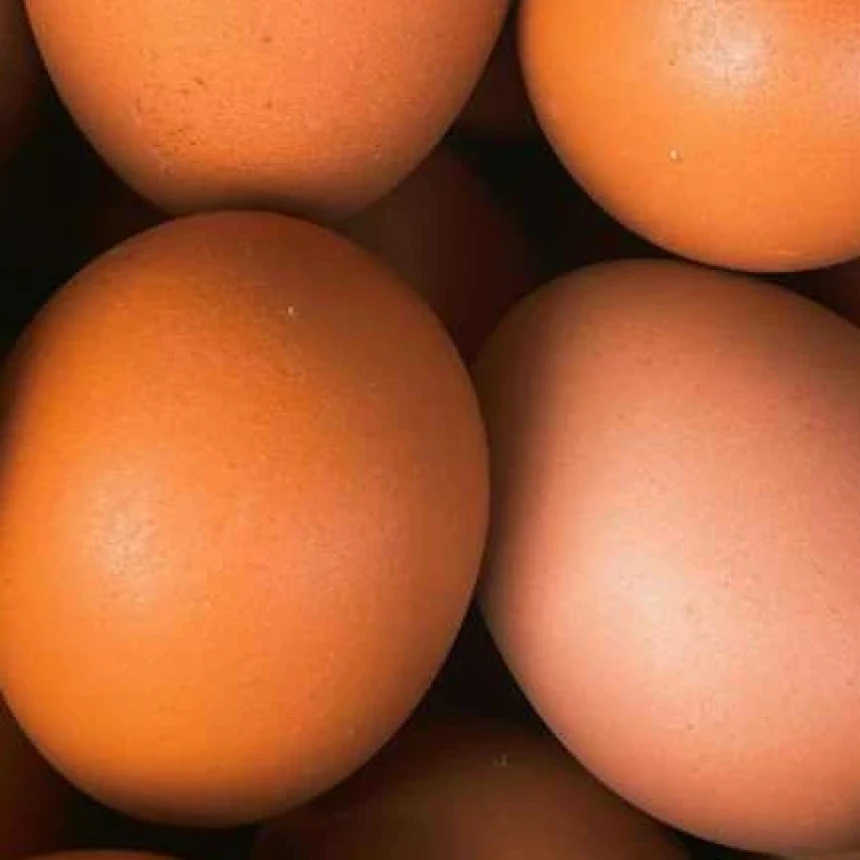 Kajian Fiqih: Apakah Telur Harus Dicuci Sebelum Dimasak?
