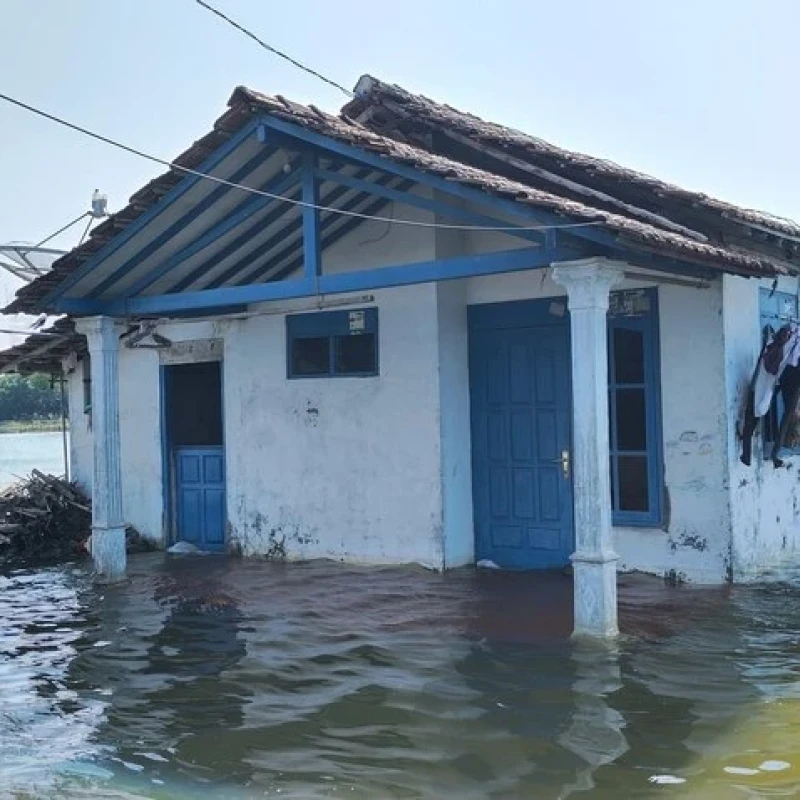 Puluhan Rumah Terendam Akibat Banjir Rob di Pati