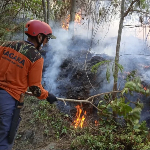 Banser Pasuruan Padamkan Karhutla di Lereng Gunung Arjuno