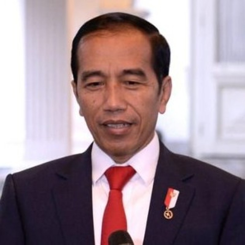 Presiden Jokowi Dorong Percepatan Pengesahan RUU TPKS