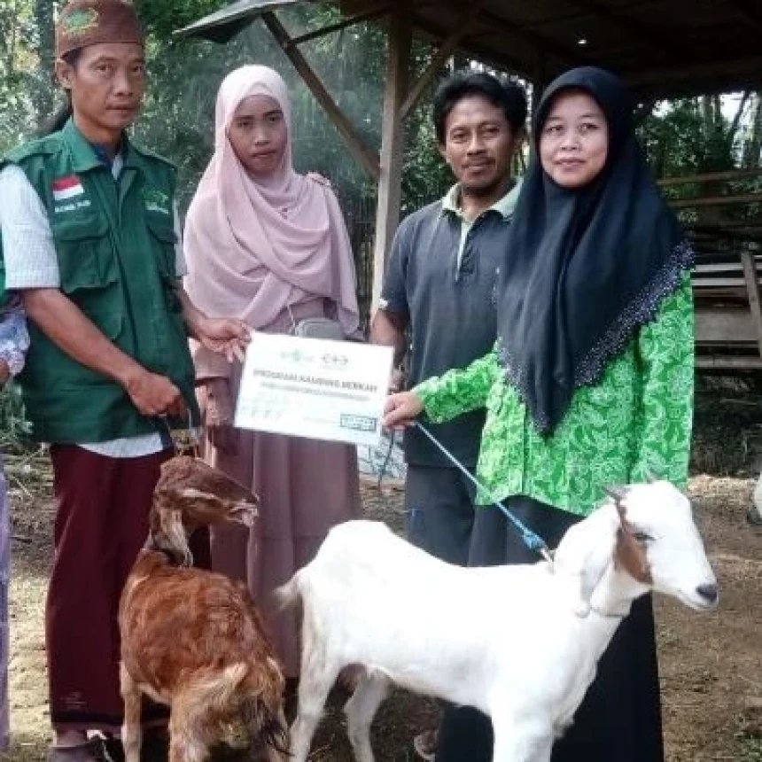 LAZISNU Sukoharjo Lampung Luncurkan Program Kambing Berkah