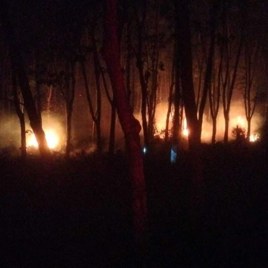 Karhutla Kembali Melanda Lampung dan Bangka Belitung, Lebih dari 83 Hektare Lahan Terbakar