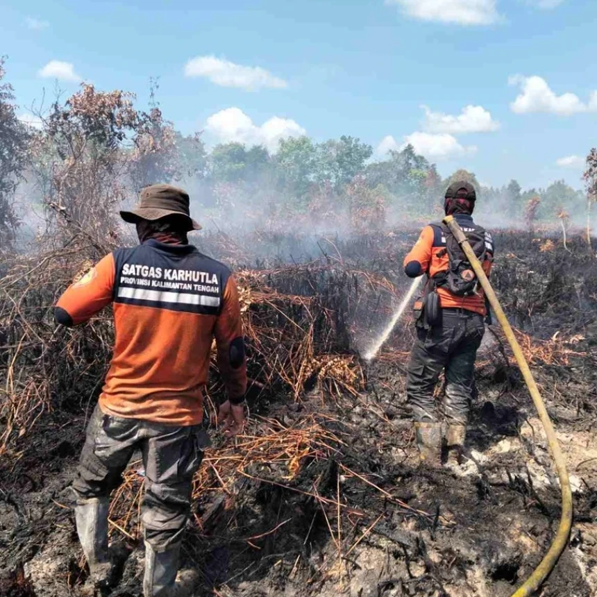 BNPB Catat Karhutla 678 Hektare, Udara Jambi dan Kalteng Masuk Kategori Berbahaya