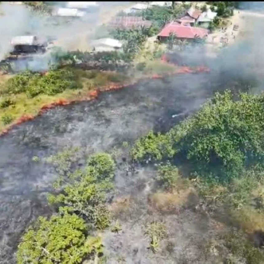 Karhutla Meluas ke Jawa dan Sulawesi, Belasan Hektare Lahan Hangus di Tengah Puncak Musim Kemarau
