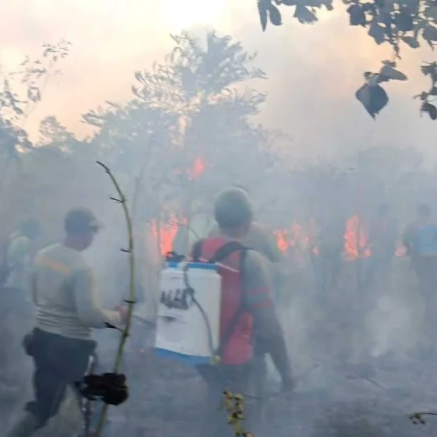 Karhutla Lahap 673 Hektare Taman Nasional Way Kambas Lampung