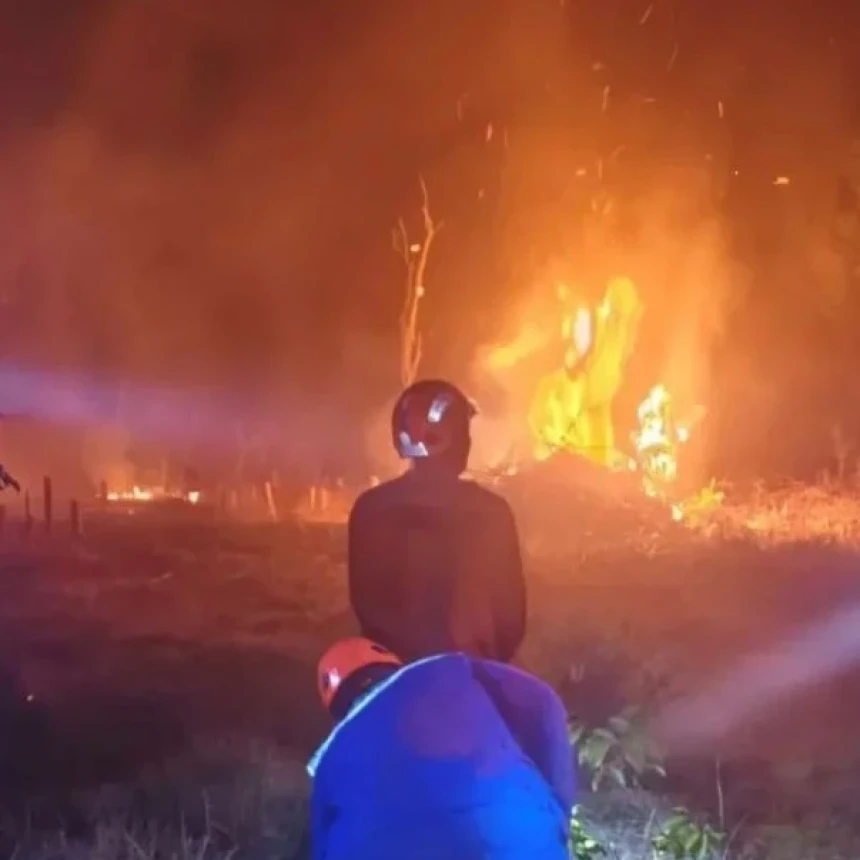 5.923 Titik Api Terdeteksi di 6 Provinsi dan Luas Lahan yang Terbakar Capai 62.786 Hektare