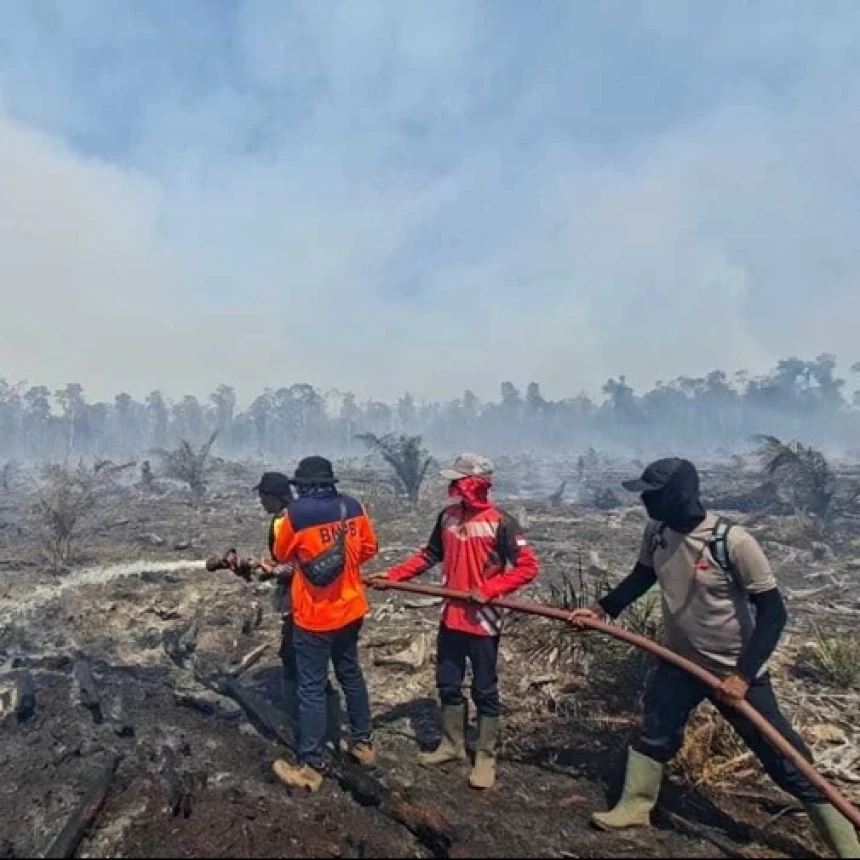 Kebakaran Hutan Terjadi di Aceh dan Sumatra Barat di Hari yang Sama