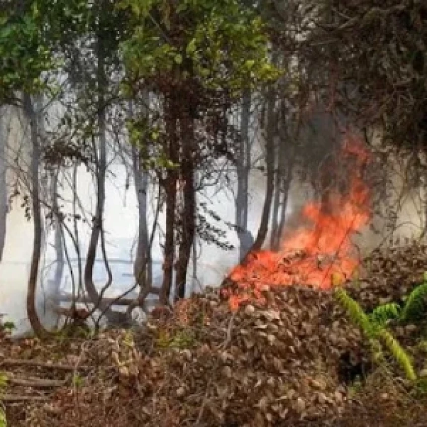 BNPB Sebut 639 Hektare Lahan Masih Terbakar di Enam Provinsi