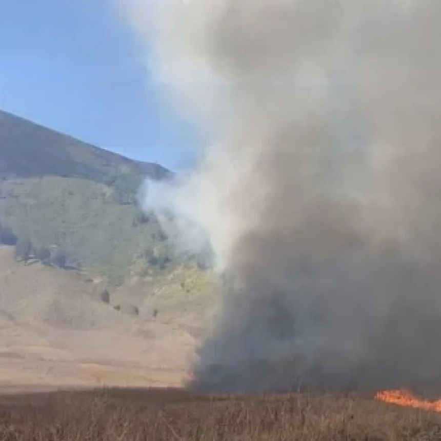 Karhutla Kepung Sejumlah Gunung di Jawa Timur, dari Bromo hingga Semeru