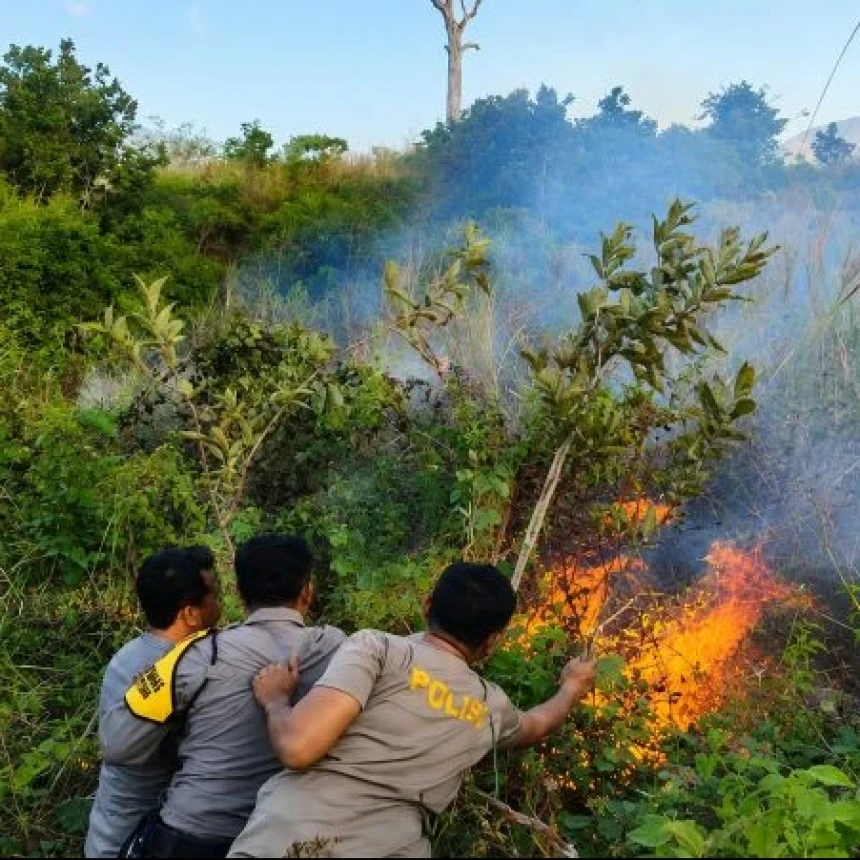 Kebakaran Hutan Terus Berulang, Walhi Soroti Lemahnya Kemauan Politik Pemerintah