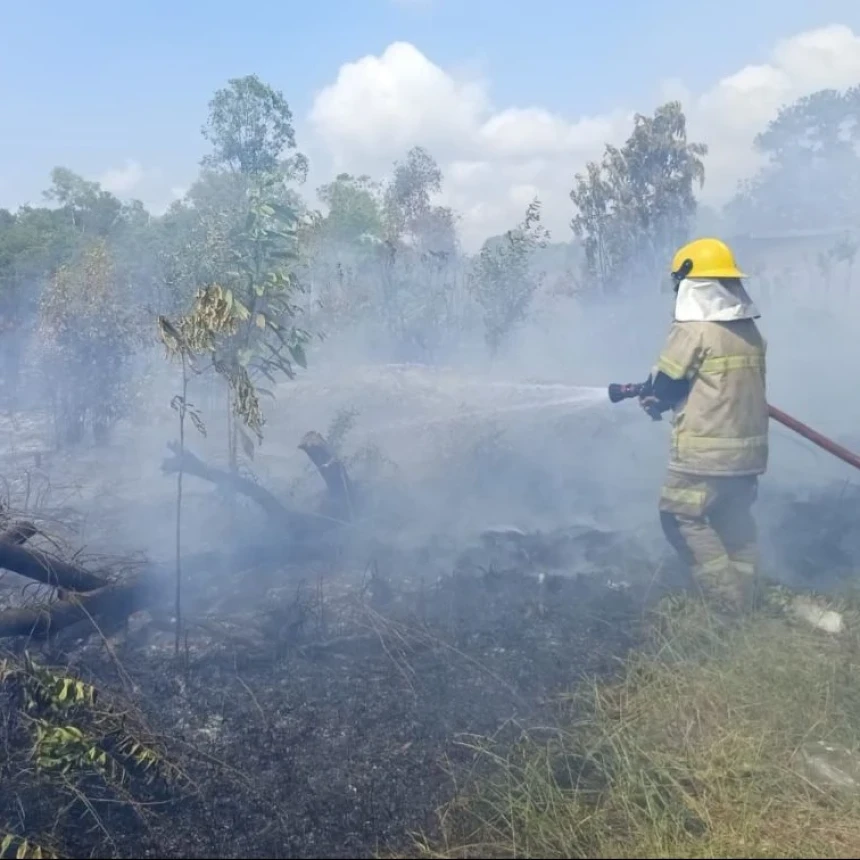 Kebakaran Hutan Kembali Terjadi di Bangka Belitung, Jawa Tengah, Jawa Timur