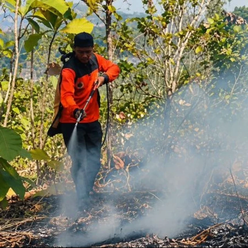 Karhutla Bersamaan di 7 Provinsi, Puluhan Hektare Lahan Hangus
