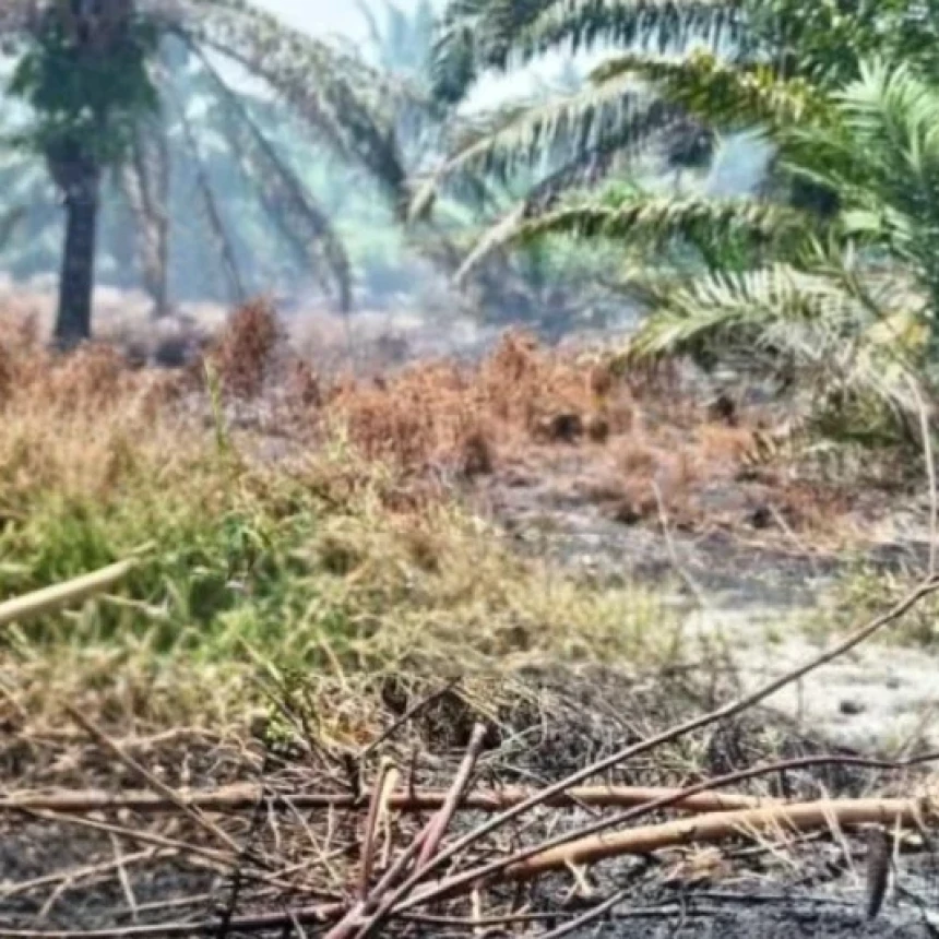 Karhutla Nagan Raya Capai 60 Hektare, NU Aceh Minta Pemerintah Serius Cegah Perluasan