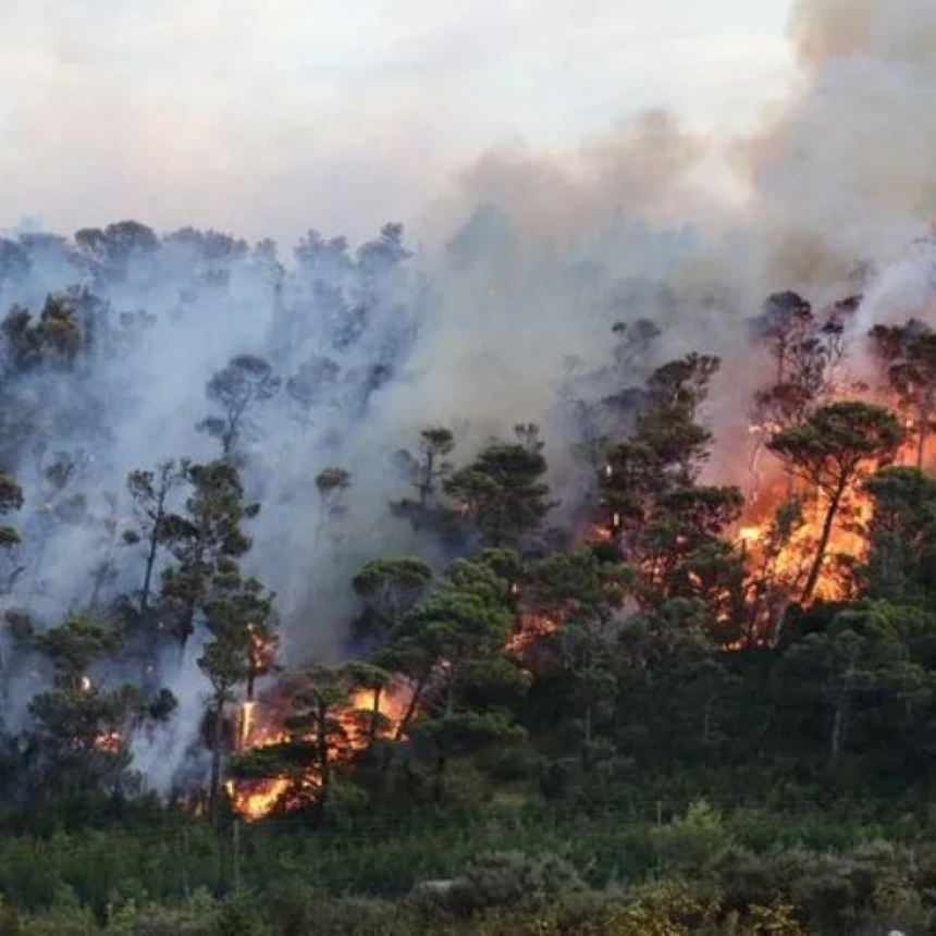 Masuki Kemarau, LPBI PBNU Imbau Masyarakat Waspada Kebakaran Hutan dan Kekeringan