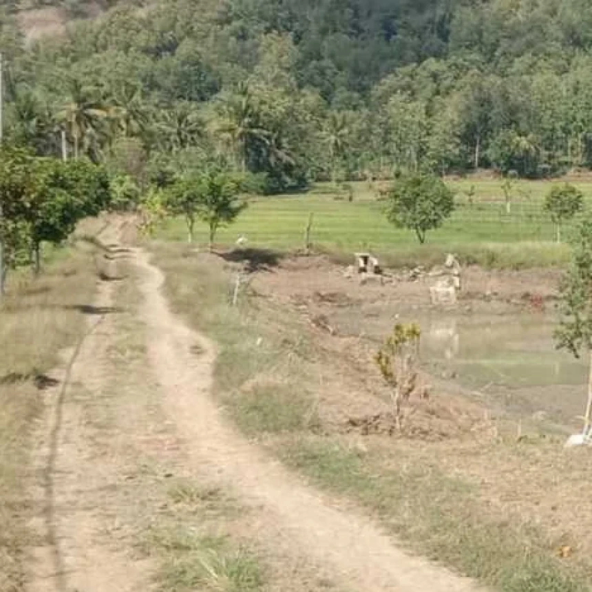 Krisis Air Gerus Hasil Pertanian Banyumas, Ansor Soroti Belum Terwujudnya Solusi Jangka Panjang