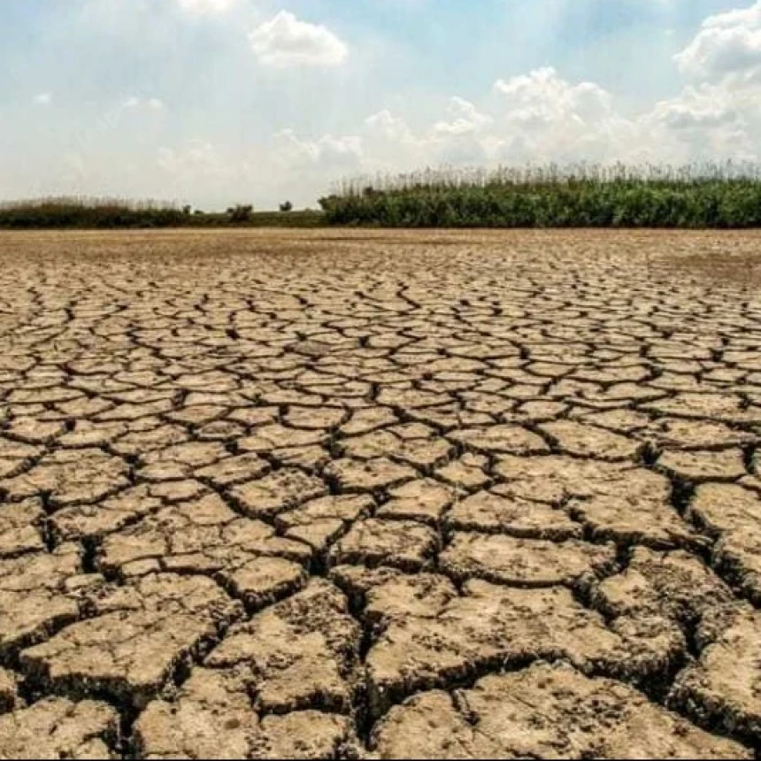 El Nino Diprediksi Berlangsung hingga 2027, Sektor Pertanian Hadapi Ancaman Kekeringan