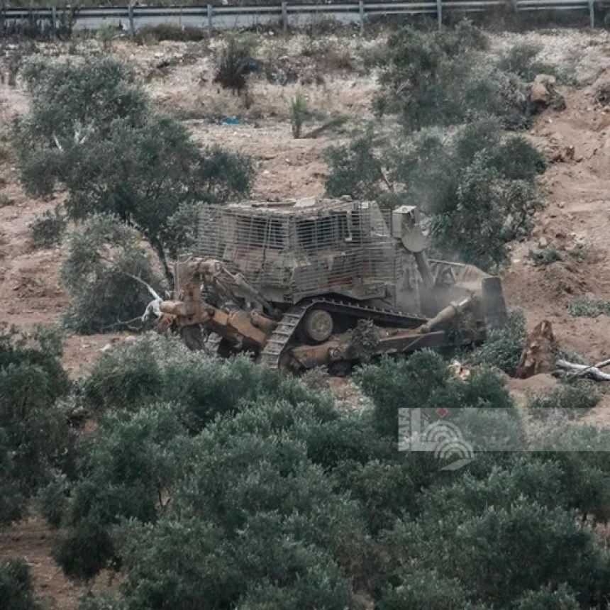 Komisi Palestina Catat 34 Serangan Pemukim Israel terhadap Petani, Lahan Zaitun hingga Pembakaran Pohon