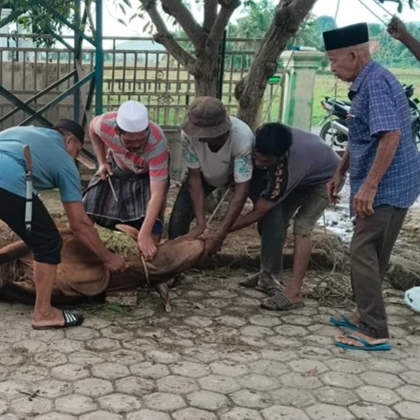 Idul Adha di Gampong Blang Dalam: Semangat Kurban dan Gotong Royong Bangkitkan Harapan