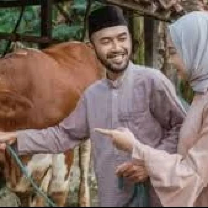 Hewan Kurban Ditembak Saat Mengamuk, Apakah Dagingnya Halal?