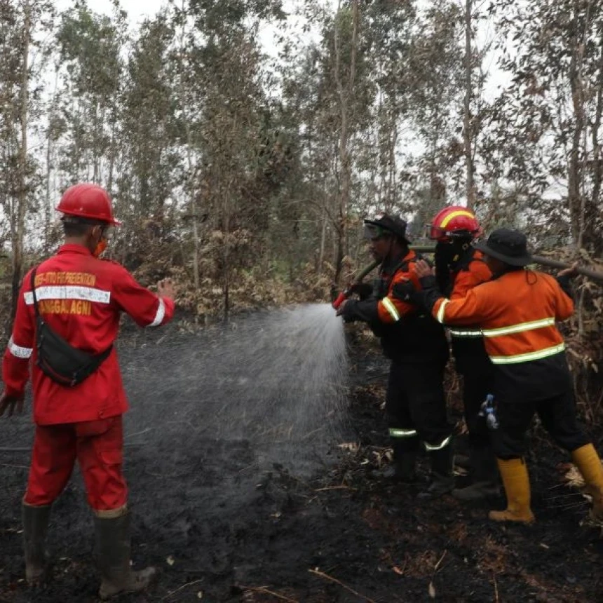 Material Pemadam Karhutla dari Brasil Diuji di Sumsel, Diklaim 10 Kali Lebih Efektif