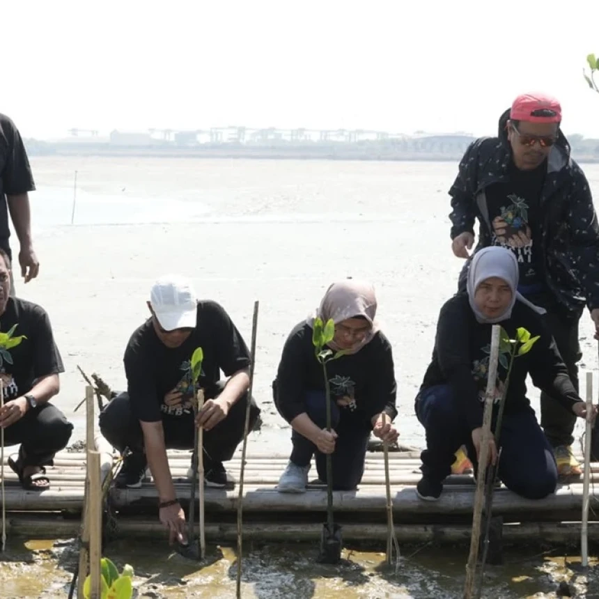 12 Ribu Mangrove Ditanam, 80 Kilometer Pantai Dibersihkan oleh LPBINU di Hari Santri 2023