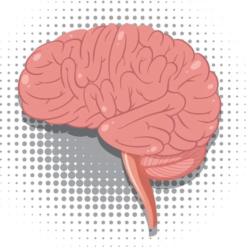 Dialami Anak di Bekasi Usai Operasi Amandel, Apa Itu Mati Batang Otak?