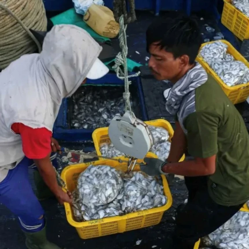 Guru Besar UGM Ungkap Nelayan Rentan Pelanggaran Hak Pekerja di Atas Kapal Perikanan
