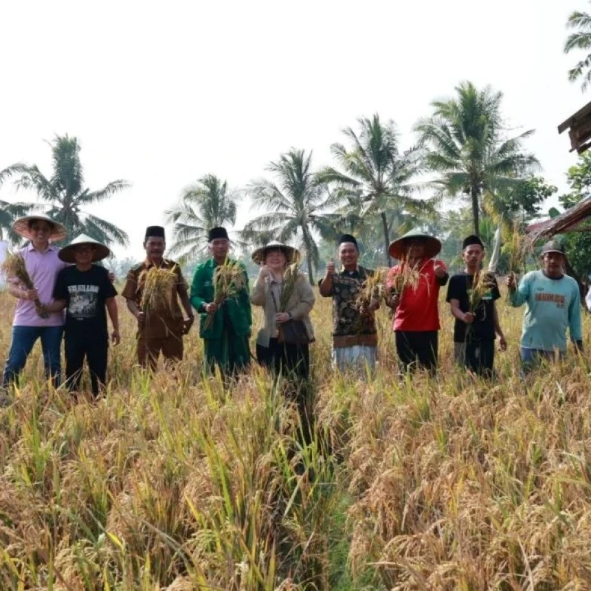 Panen Perdana Beras NU, Bukti Nyata Inovasi Pertanian untuk Perkuat Ketahanan Pangan Nasional