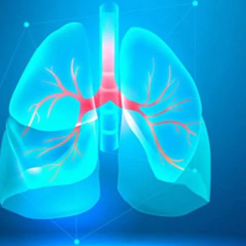 Tuberkulosis Penyakit Menular Mematikan, Pahami Gejala dan Cara Mencegahnya