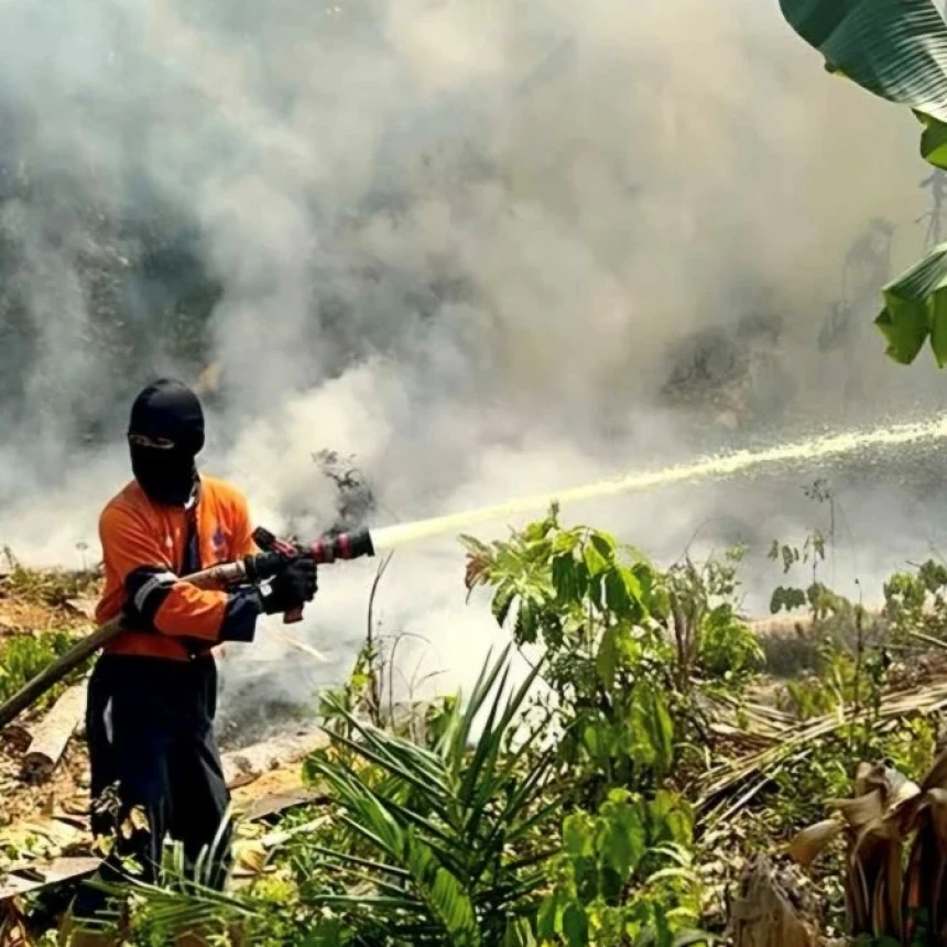 72 Ribu Hektare Lahan Gambut Terbakar di 6 Provinsi