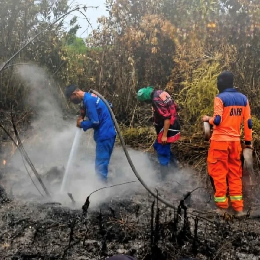Kendala Pemadaman di 7.334 Titik Api Karhutla 6 Provinsi