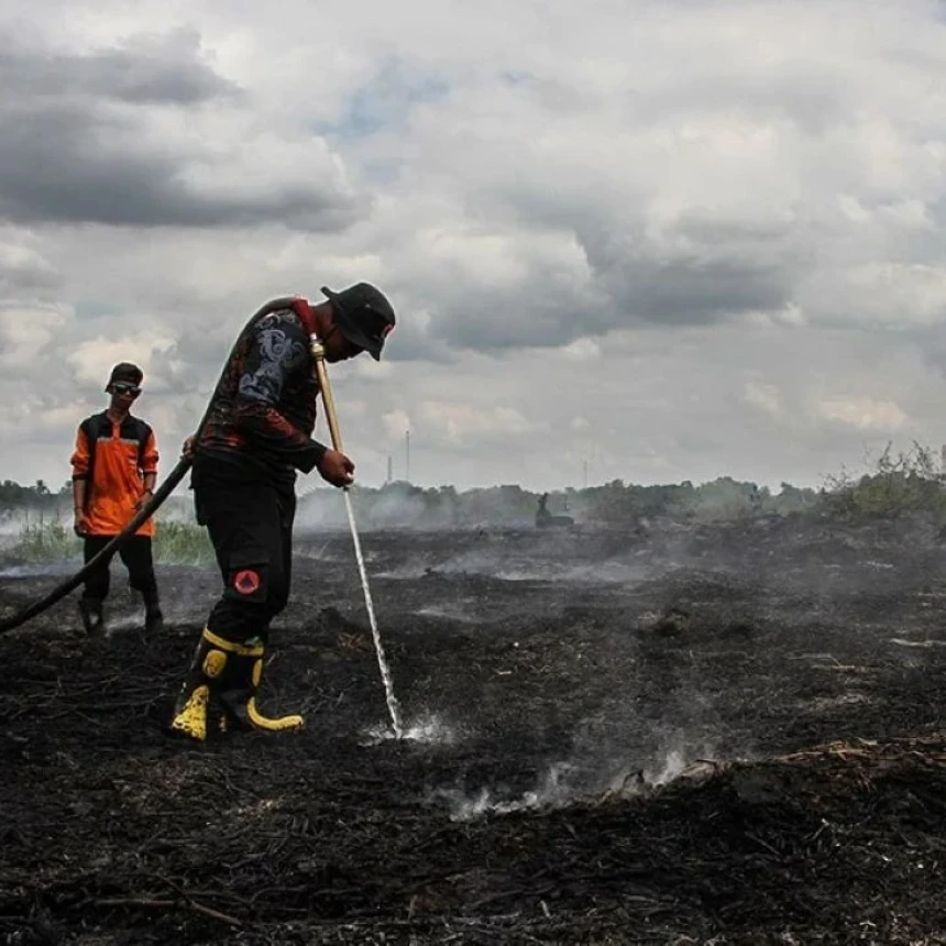 Greenpeace: 81 Tahun Merdeka, Rakyat Masih Terjebak Asap Karhutla