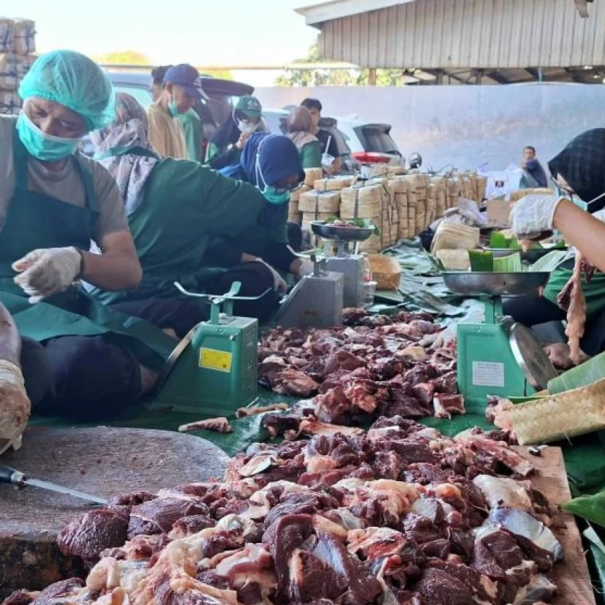 Pemotongan Hewan Kurban di RPH Utamakan Syariat Islam hingga Pengelolaan Limbah