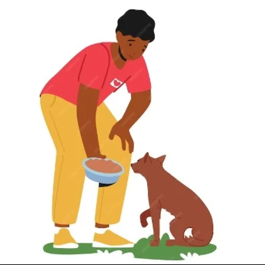 Kisah Pemuda Dermawan Beri Makan Seekor Anjing