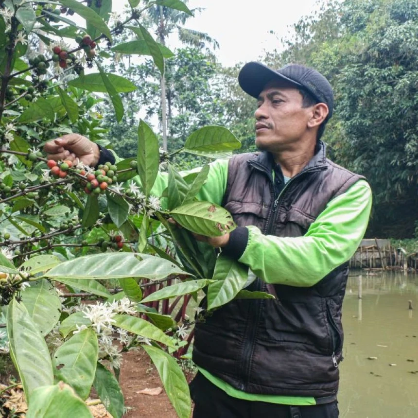 Bertani di Hutan Kota Sanggabuana, Pesanggrahan, Jakarta
