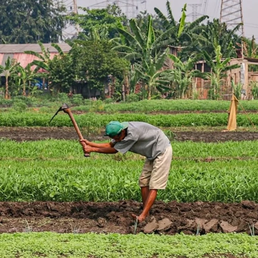 Masyarakat Sipil Soroti Usulan Penghapusan 297 DIM RUU Reforma Agraria