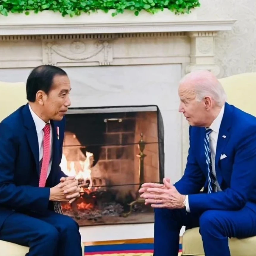 Kata Pengamat soal Proposal Gencatan Senjata di Gaza yang Diajukan Jokowi ke Biden